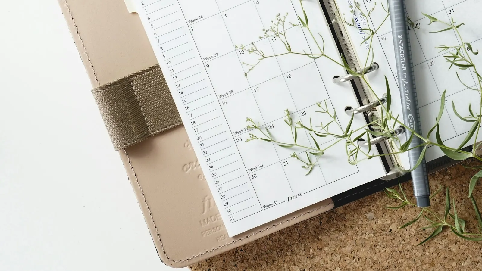 An open weekly planner beside a pen and small plant